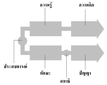 จักระแห่งนักพัฒนาซอฟต์แวร์