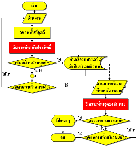 แผนผังระบบคัดกรอง 