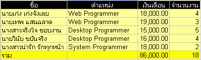 รายชื่อโปรแกรมเมอร์ของบริษัท