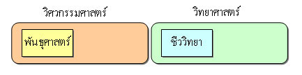 คอมพิวเตอร์ยุคชีวโมเลกุล