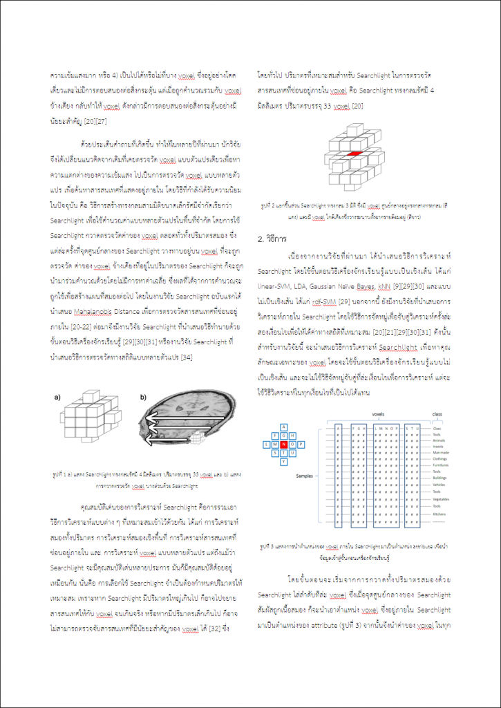 การวิเคราะห์ภาพสมอง หน้าที่ 2