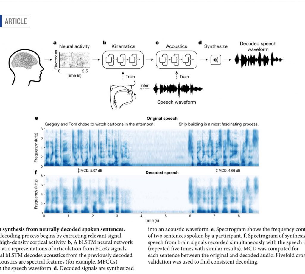 ขั้นตอนในเปเปอร์ SPEECH SYNTHESIS FROM NEURAL DECODING OF SPOKEN SENTENCES